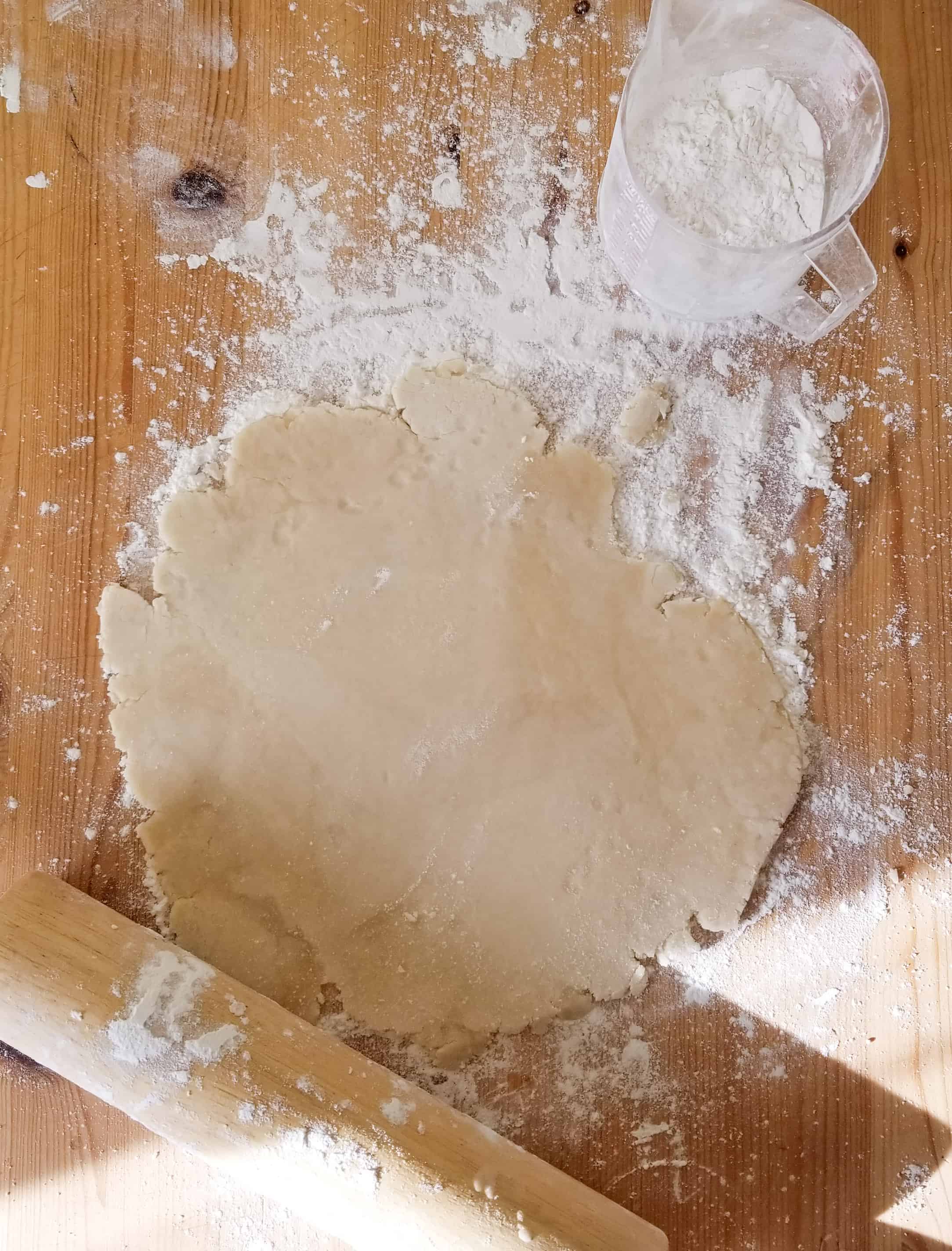PIE CRUST The Frozen Biscuit