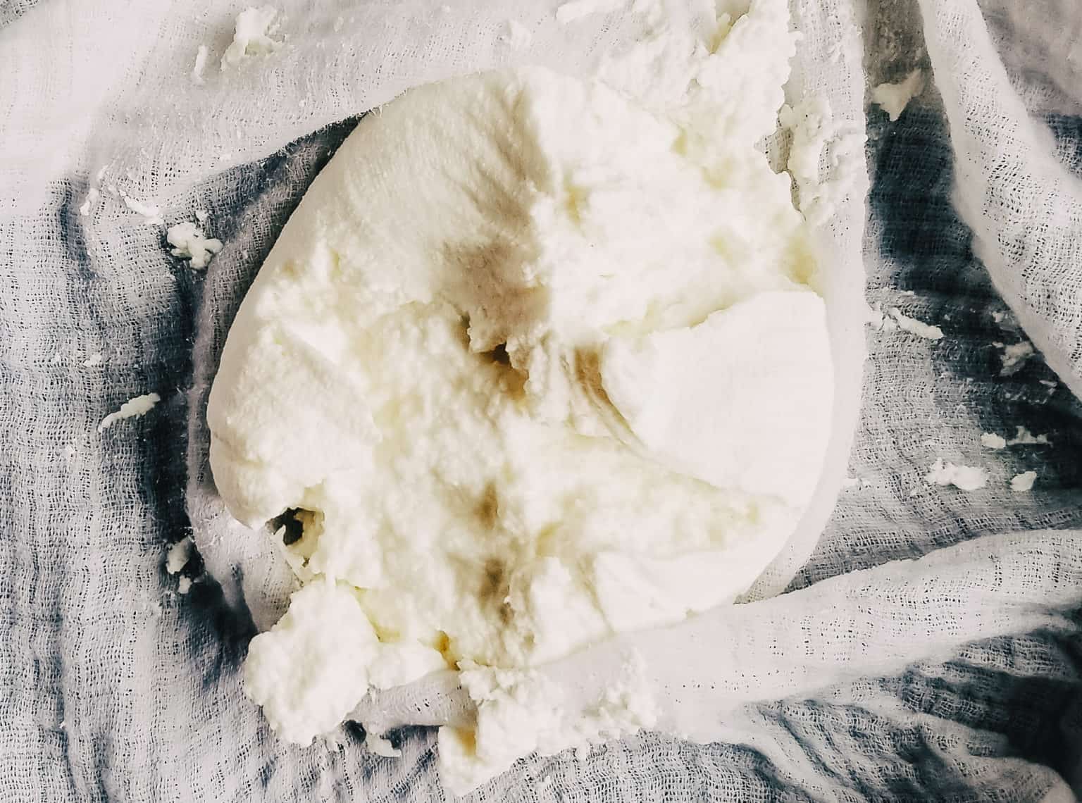 homemade ricotta cheese the frozen biscuit