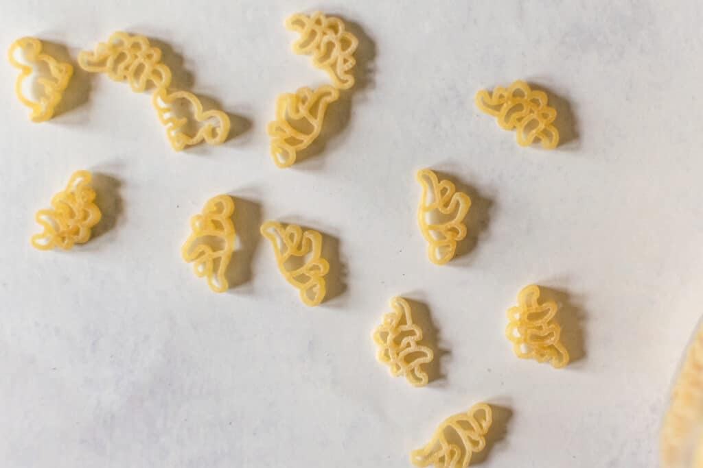 dry pasta in the shape of dinosaurs