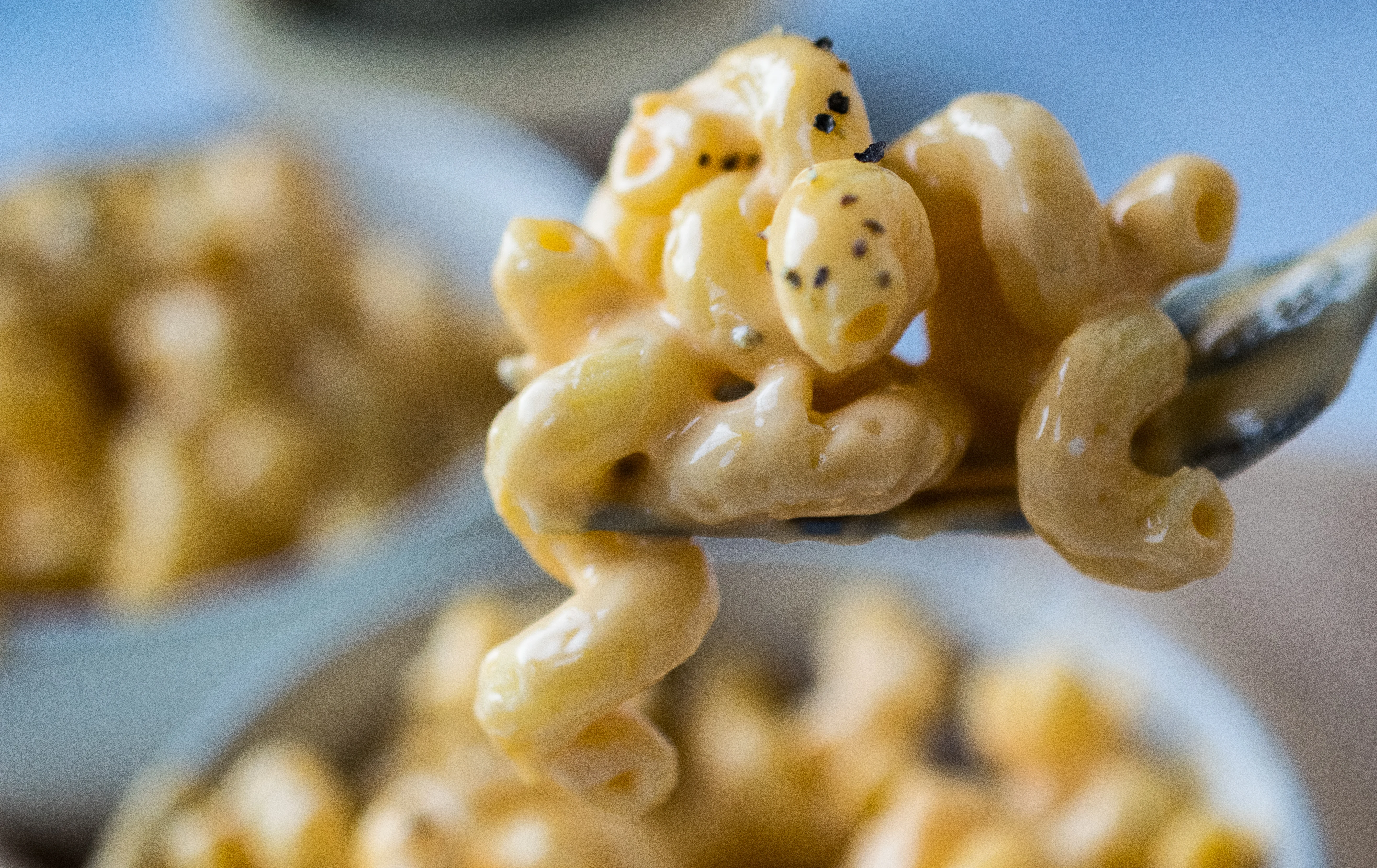 Forking holding mac and cheese.