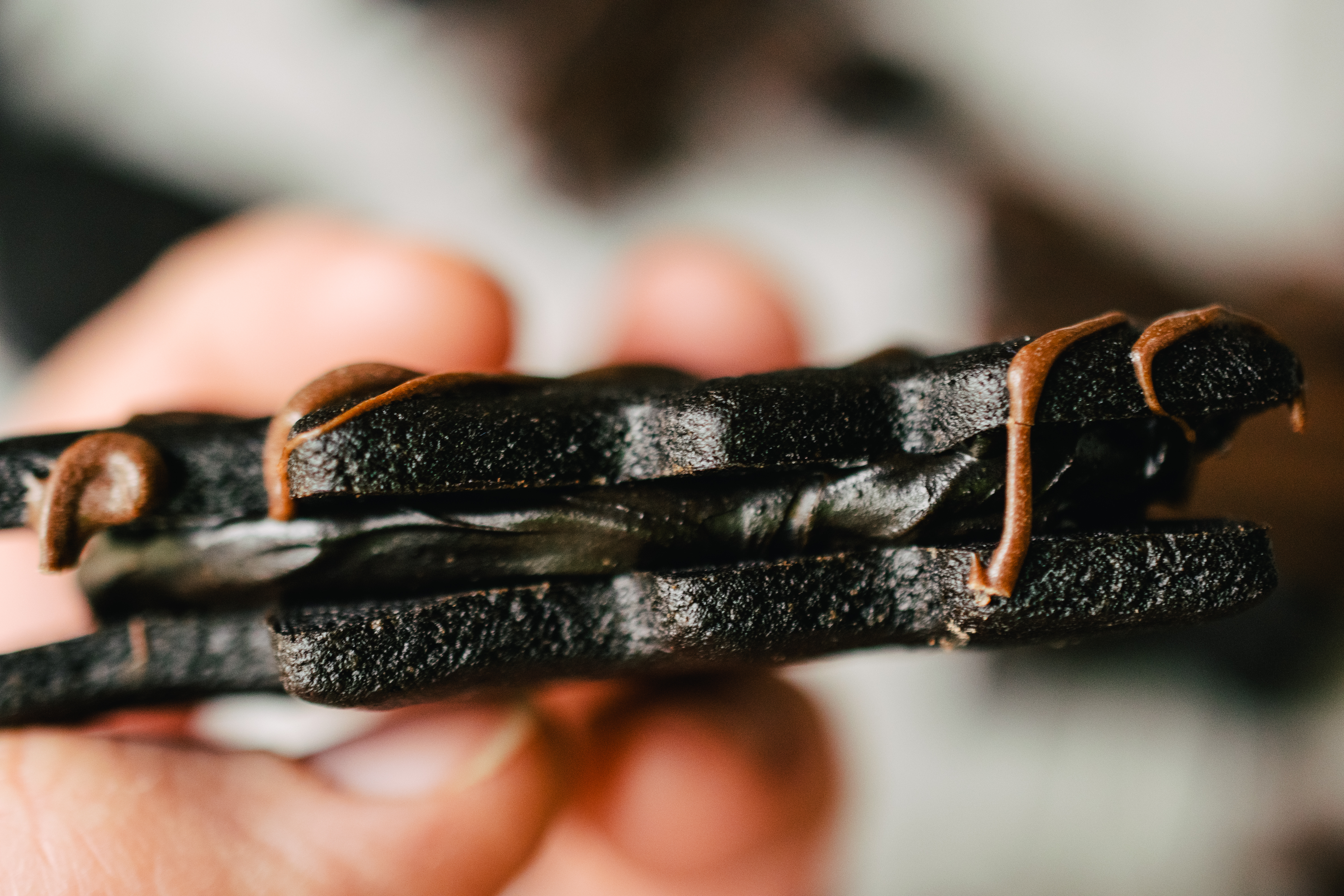 Close up of a mint chocolate sandwich cookie. 