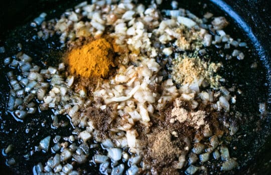 DSC_0203 minced onion and garlic with indian spices in a skillet