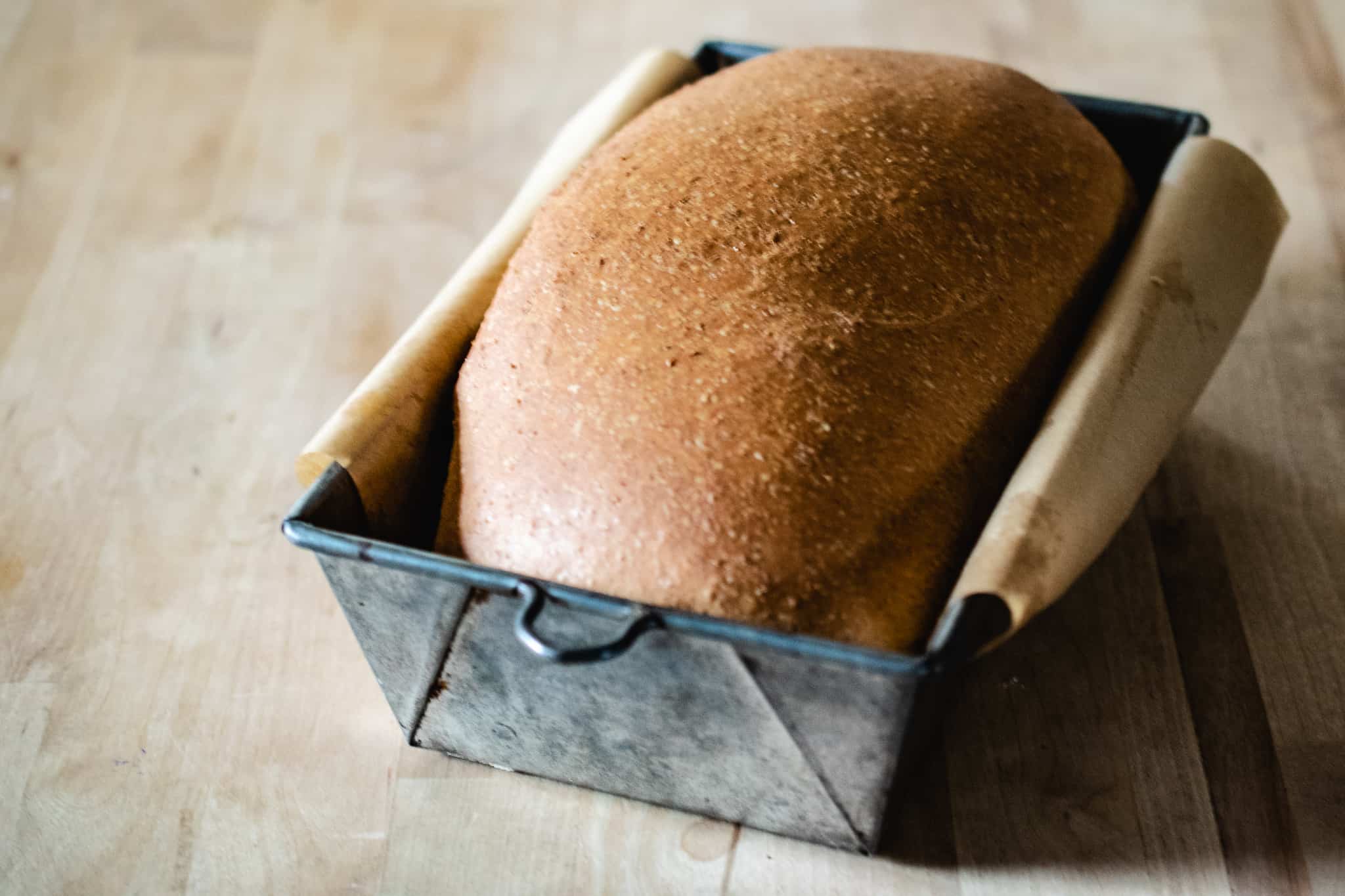 whole wheat bread in bread pan