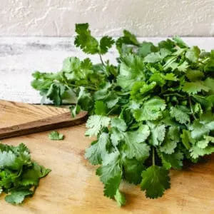 A bundle of cilantro leaves on a cutting board.