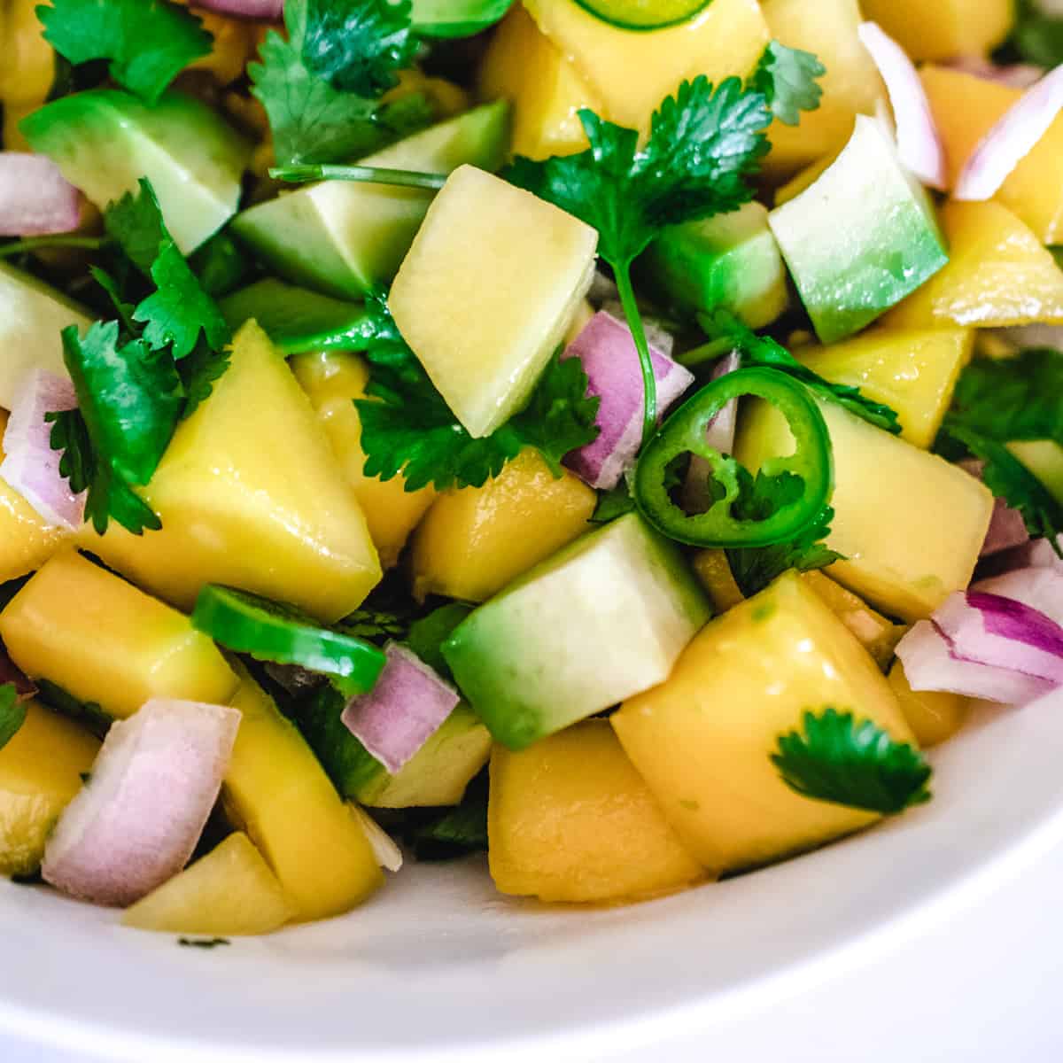 diced mangoes, red onion, avocado, Serrano peppers and cilantro tossed in lime juice