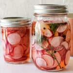 refrigerator pickled radishes in two mason jars with dill and black peppercorns
