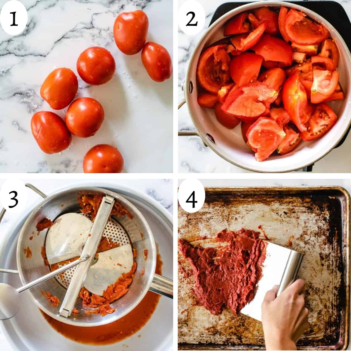 how-to-make-tomato-paste-with-fresh-tomatoes-the-frozen-biscuit