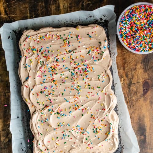 Chocolate Sprinkle Cake - The Frozen Biscuit