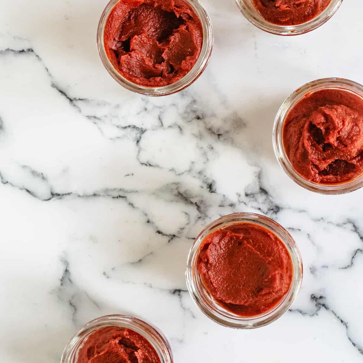 How to Make Tomato Paste with Fresh Tomatoes | The Frozen Biscuit
