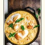 Skillet with chicken breast and orzo in a creamy sauce with yellow tomatoes.
