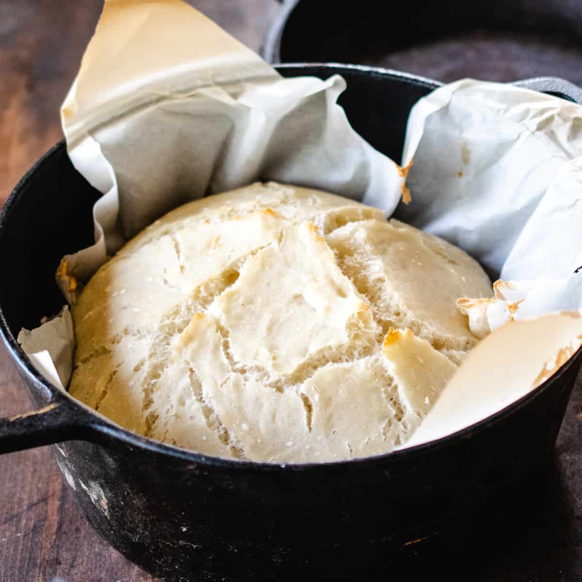 Par cooked loaf of artisan bread in a cast iron handled Dutch oven lined with parchment paper.