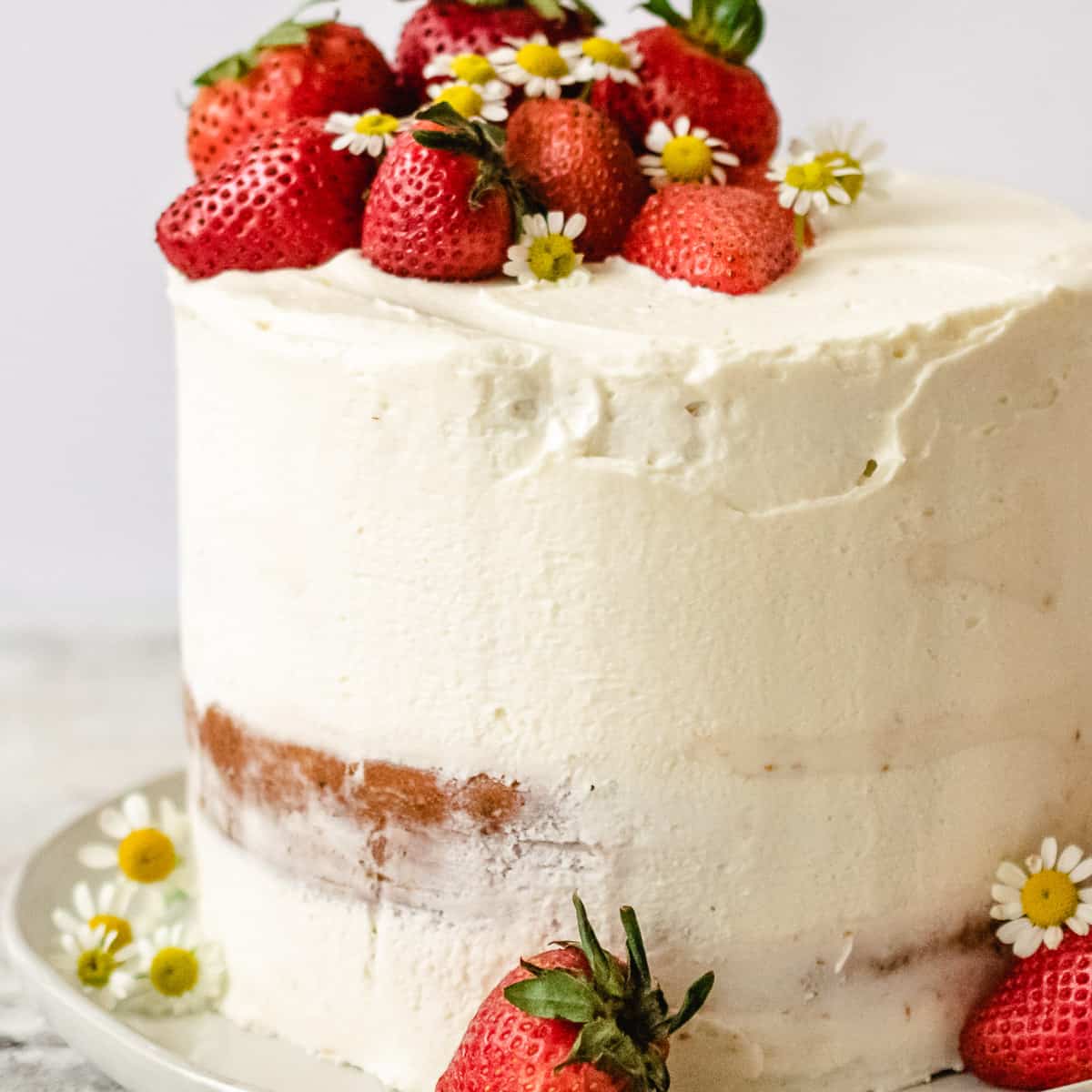 Strawberry Layered Cake | The Frozen Biscuit