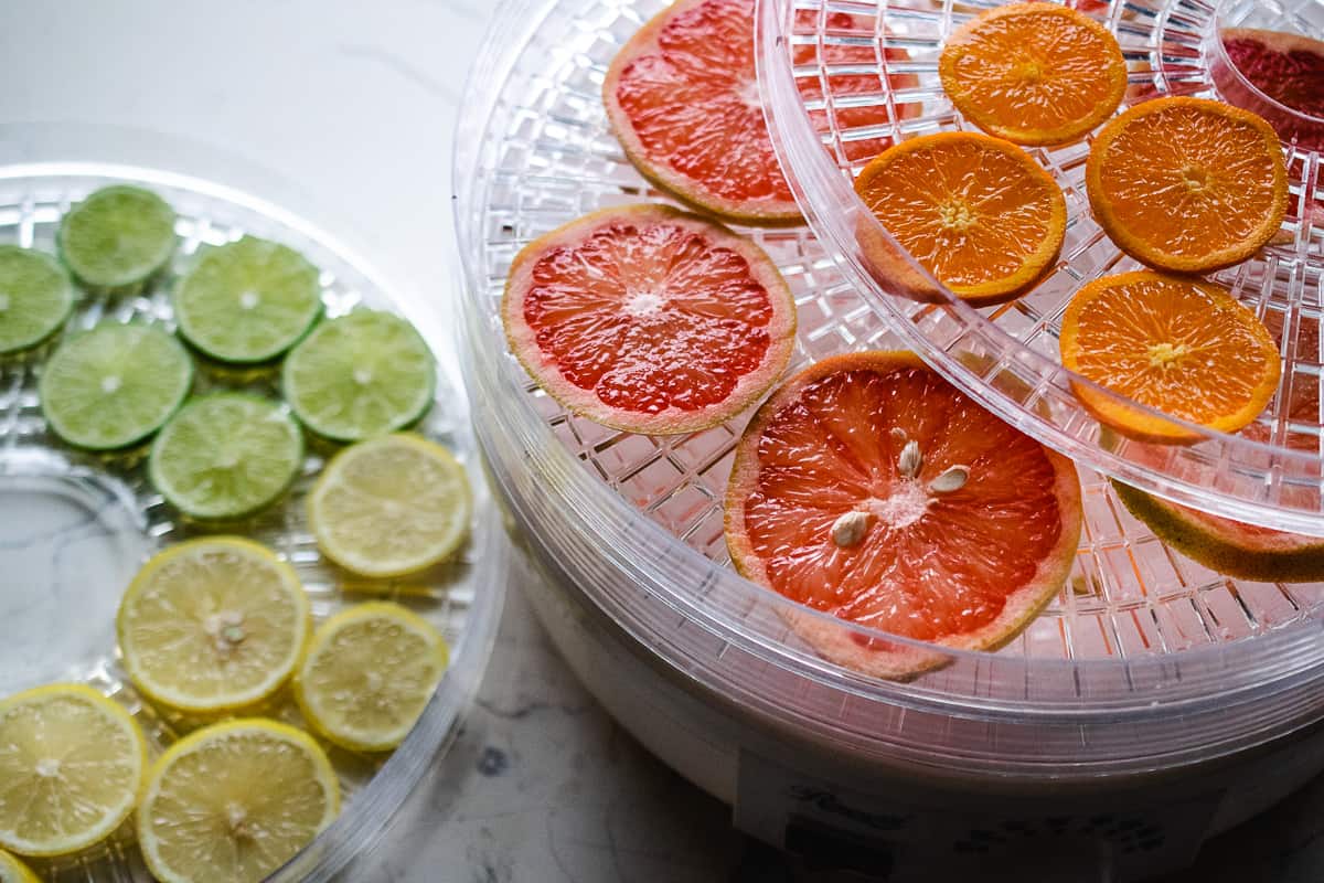 Slices of oranges, grapefruit, lemons and limes in a food dehydrator. 