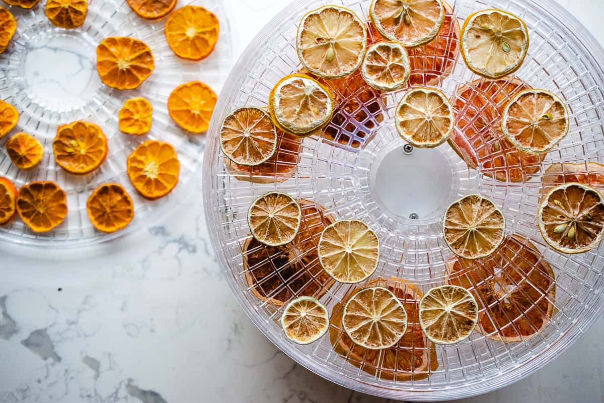 Dehydrated citrus fruit slices in a food dehydrator. 