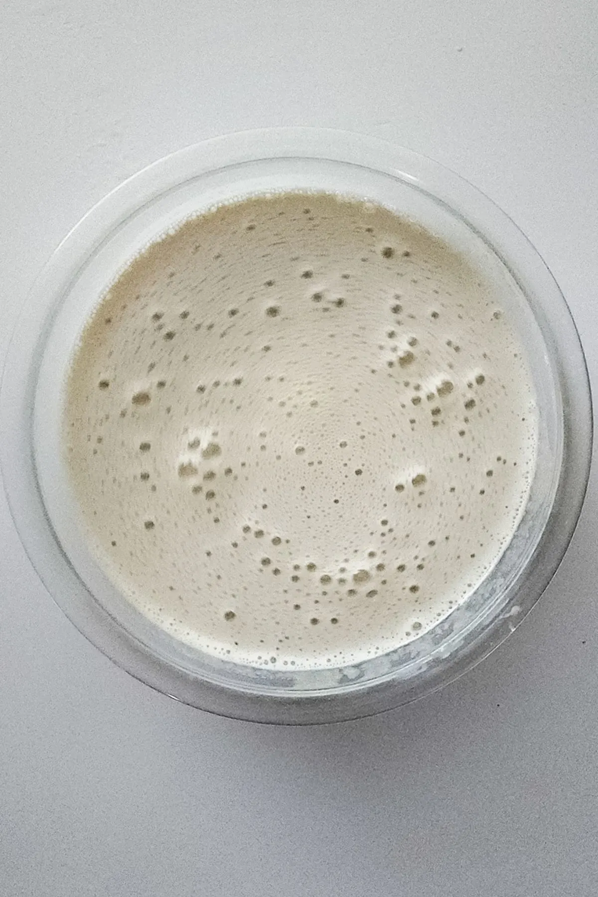 Milk mixture for creme brulee cookies in a bowl.